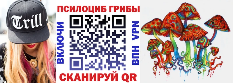 где купить наркоту  Кудрово  Галлюциногенные грибы ЛСД 